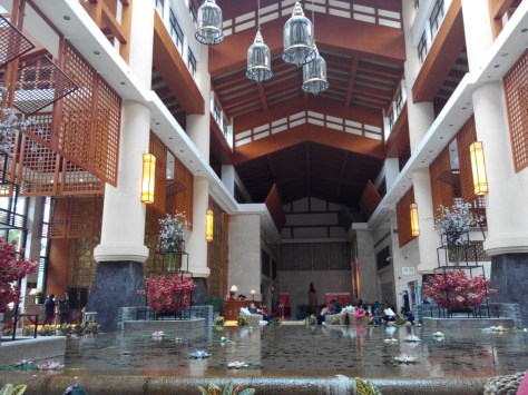 IMG_20141208_121938.jpg image